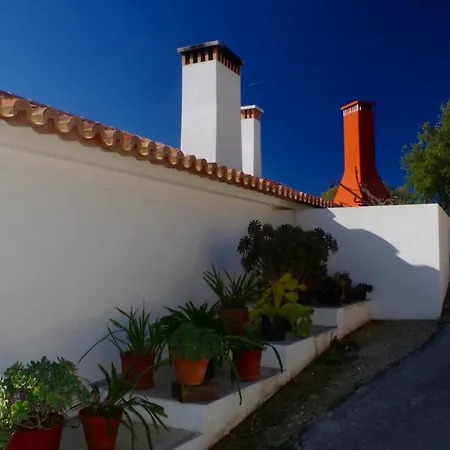 Vinha Do Gaio Farm stay Montes de Cima