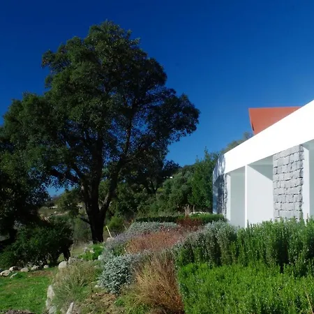 Vinha Do Gaio Farm stay
