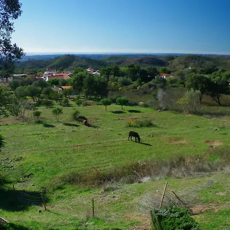 Vinha Do Gaio