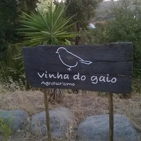 Farm stay Vinha Do Gaio *