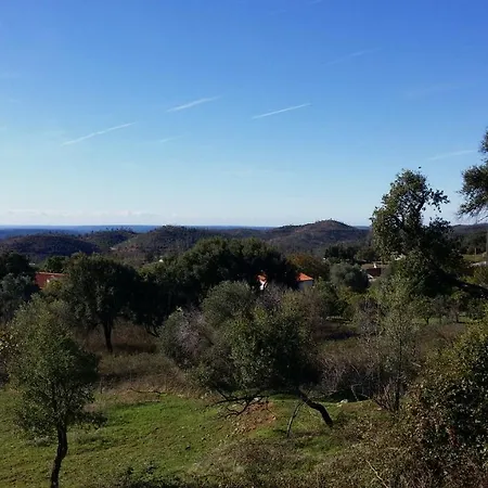 Vinha Do Gaio Farm stay Montes de Cima
