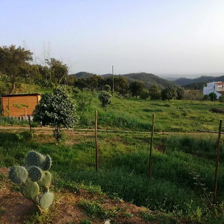 Vinha Do Gaio Farm stay