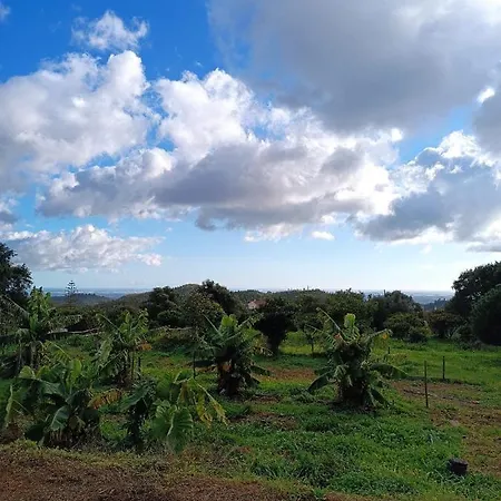 Farm stay Vinha Do Gaio