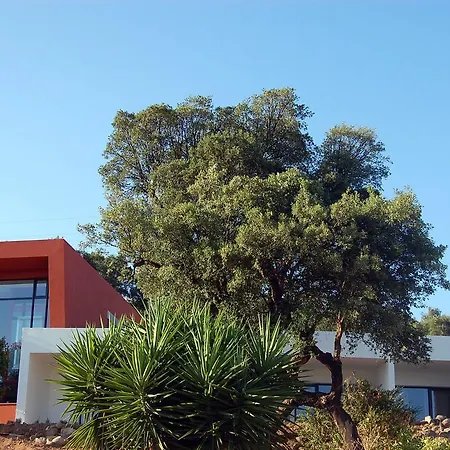 Farm stay Vinha Do Gaio *