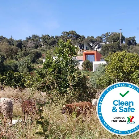 Vinha Do Gaio Farm stay